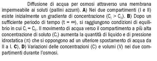 di particelle dissociabili per molecola C: concentrazione