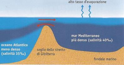Temperatura In Mediterraneo lo scalino di Gibilterra impedisce all acqua atlantica di entrare e abbassare la temperatura, per cui - nello strato profondo, a partire da