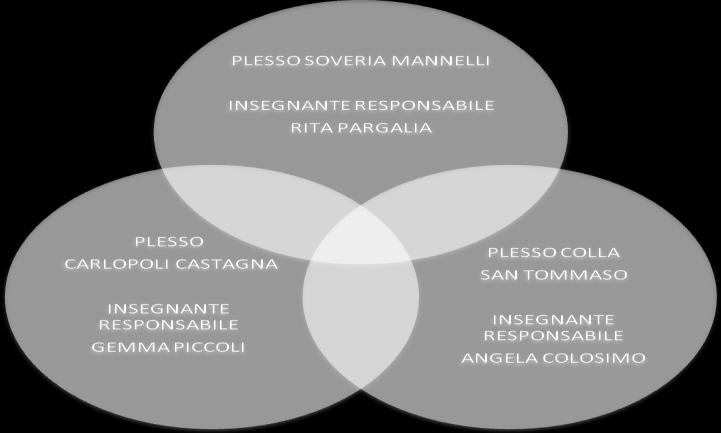 Agli eletti spetta il compito di partecipare alle riunioni dei suddetti organi collegiali (4 incontri a scansione bimestrale) e di tenere i