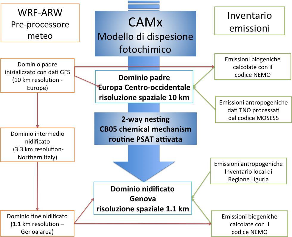 Chimica e trasporto a mesoscala: il modello