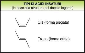 La maggior parte dei grassi in natura sono di tipo CIS e solo pochi sono di tipo TRANS.