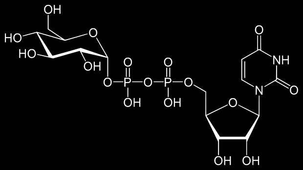 uracile glucosio