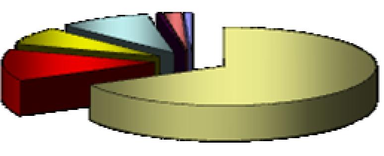 1. Accessi diretti alla rete fissa (totale) (1) 2T2012 24,0 22,0 20,0 18,0 16,0 14,0 12,0 10,0 8,0 22,50 22,28 21,69 6,73 6,86 7,05 7,24 7,29 7,24 7,34 7,39 7,39 15,77 15,61 15,38 15,17 14,99 14,86