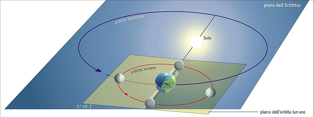 Linea dei Nodi Il piano dell orbita lunare forma con quello dell orbita terrestre circa 5.