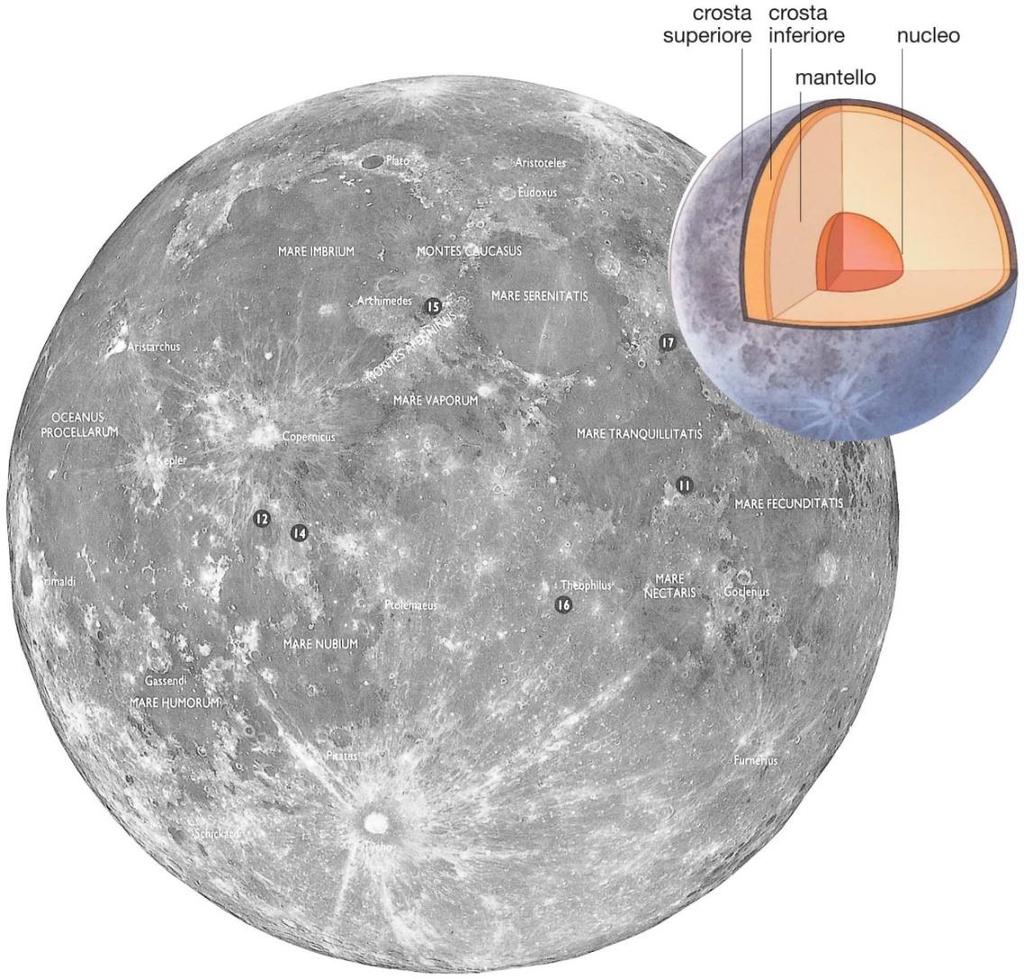 PERCHE LA LUNA RUOTA ATTORNO ALLA TERRA Dati caratteristici della Luna Raggio medio: 1738 km Volume: 22 109 km 3 Massa: 7,35 1022 kg Densità: 3,34 g/cm 3 Le sue dimensioni la