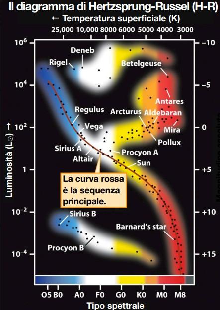 Diagramma di Hertzsprung-Russel (HR) Dato un catalogo di stelle di cui si conoscono la luminosità (o magnitudine assoluta) e la loro classificazione spettrale è possibile fare un diagramma di