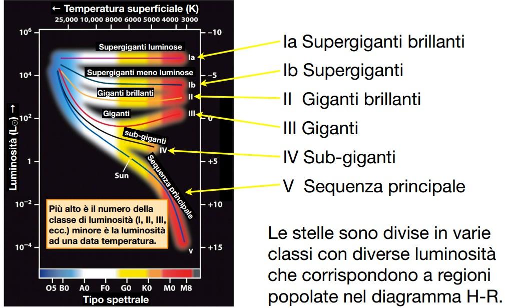 Classificazione spettrale di Yerkes Questa classificazione non si basa sulla temperatura ma anche su raggio e luminosità (massa) della stella.