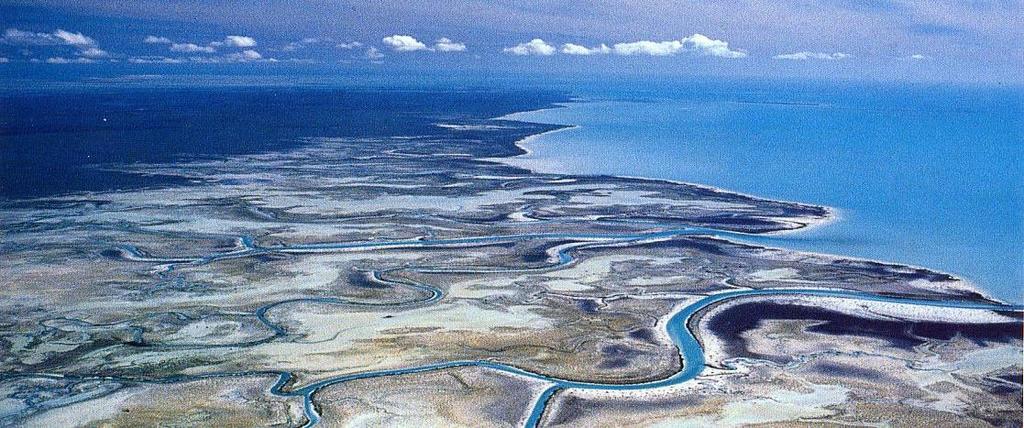 Piane di marea (piane tidali): possono esistere anche senza la presenza di una laguna. Sono sempre regolate dalle maree.