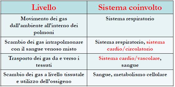 dell'attività metabolica che si rifletterà sui vari organi e tessuti Può essere causata da