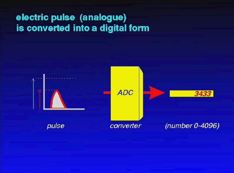fig. 9 Nella figura è rappresentato lo schema di come un impulso elettrico analogico viene convertito in digitale. Schema delle operazioni che saranno effettuate in laboratorio.
