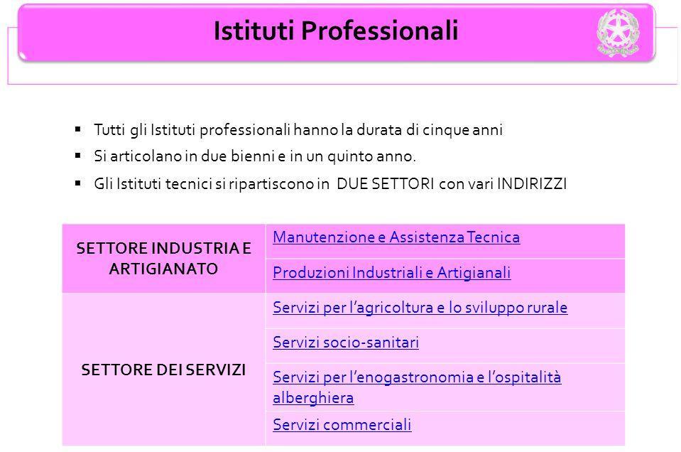 ORIENTAMENTO TERZA MEDIA: GUIDA SUGLI ISTITUTI PROFESSIONALI Sei in terza media e l'anno prossimo vorresti iniziare a frequentare un istituto professionale?