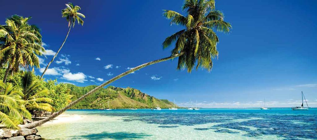Sole tropicale, il profumo del mare e il relax su spiagge da favola, le vacanze ai Caraibi in crociera sono la soluzione perfetta per soddisfare ogni desiderio.