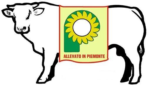 LA FILIERA ALLEVATO IN PIEMONTE : DALLA LEGGE REGIONALE 35/88 ALL ETICHETTATURA VOLONTARIA DAL 2006 Viene introdotto il marchio registrato Allevato in Piemonte Viene prodotto un nuovo disciplinare di