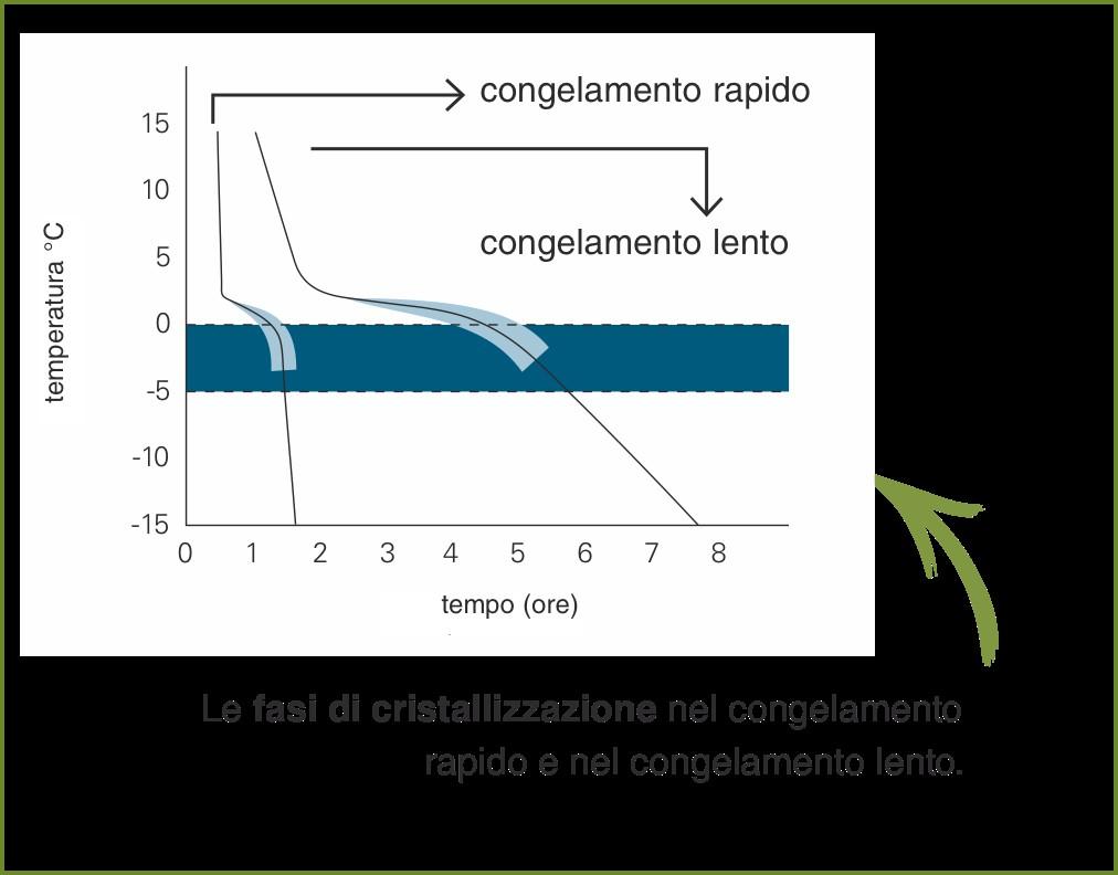 Metodi fisici di conservazione Congelazione Consiste nel portare l alimento a temperature basse