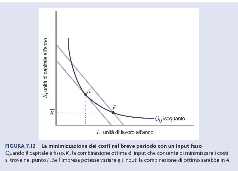 Minimizzazione dei costi nel breve periodo L impresa non può sostituire il capitale con il