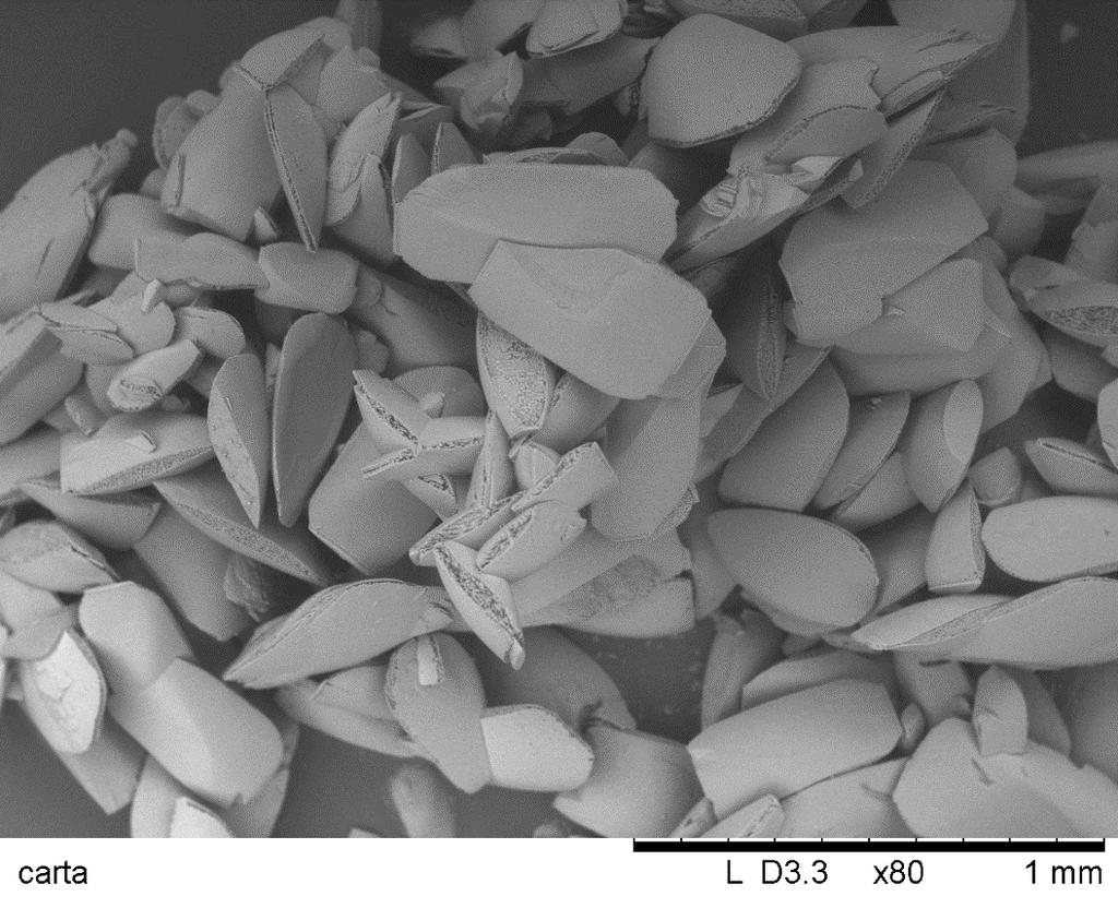 TRIULZI ET AL. LA STABILIZZAZIONE TARTARICA CON IL POLIASPARTATO DI POTASSIO, P.