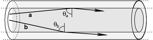 Fibra Ottica Core : nucleo cilindrico centrale con n 2 ~1.5; Cladding : mantello con n 1 minore (~1.