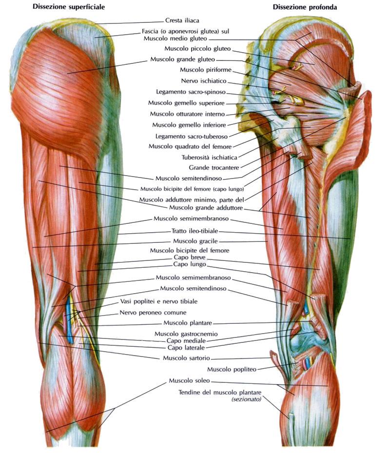 Fig. 7 1.