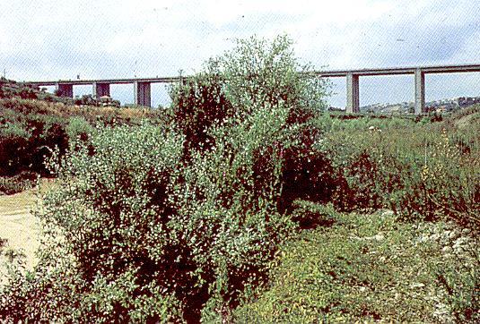 sezione a doppio trapezio