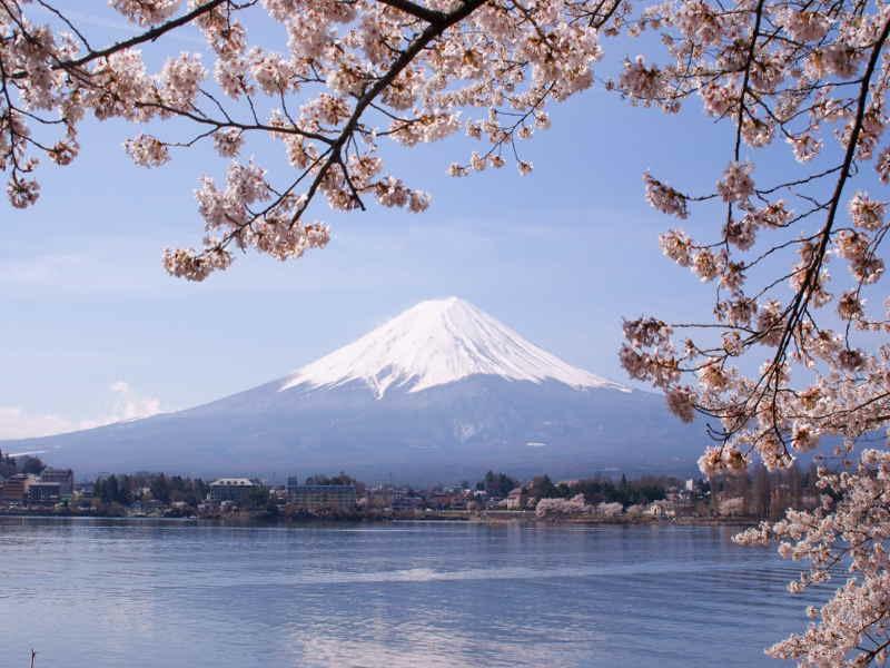 Fu solo nel XIX secolo che l Imperatore, staccandosi dalla tutela dello shogunato, spostò qui la capitale da Kyoto, e la cittadina di Edo cambiò nome in ( capitale dell est, come indicano i suoi