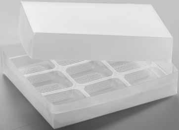 Scatole in plastica trasparente con alveoli trasparenti. Boxes in transparent plastic with transparent cavities.