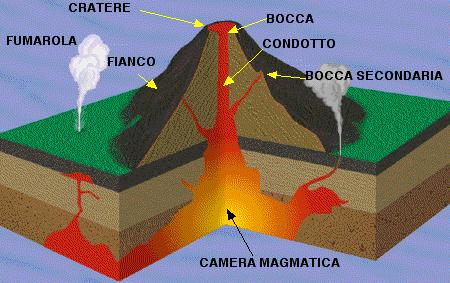 STRUTTURA DI UN VULCANO In un vulcano distinguiamo: Il serbatoio o camera magmatica: è la zona più profonda (10-60 km di profondità) dove si forma e si raccoglie il magma Il camino: