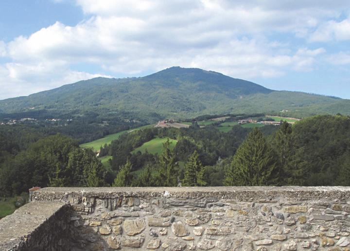 Borgotaro-Bedonia. La zona è attraversata dalla SP66 di Compiano che raccorda la Bedonia-Borgotaro con Bardi.