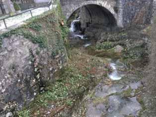 In particolare sono stati effettuati tagli di alberi pericolanti nel tratto a monte presso la cava di marmo e la gestione della vegetazione arborea-arbustiva nel tratto