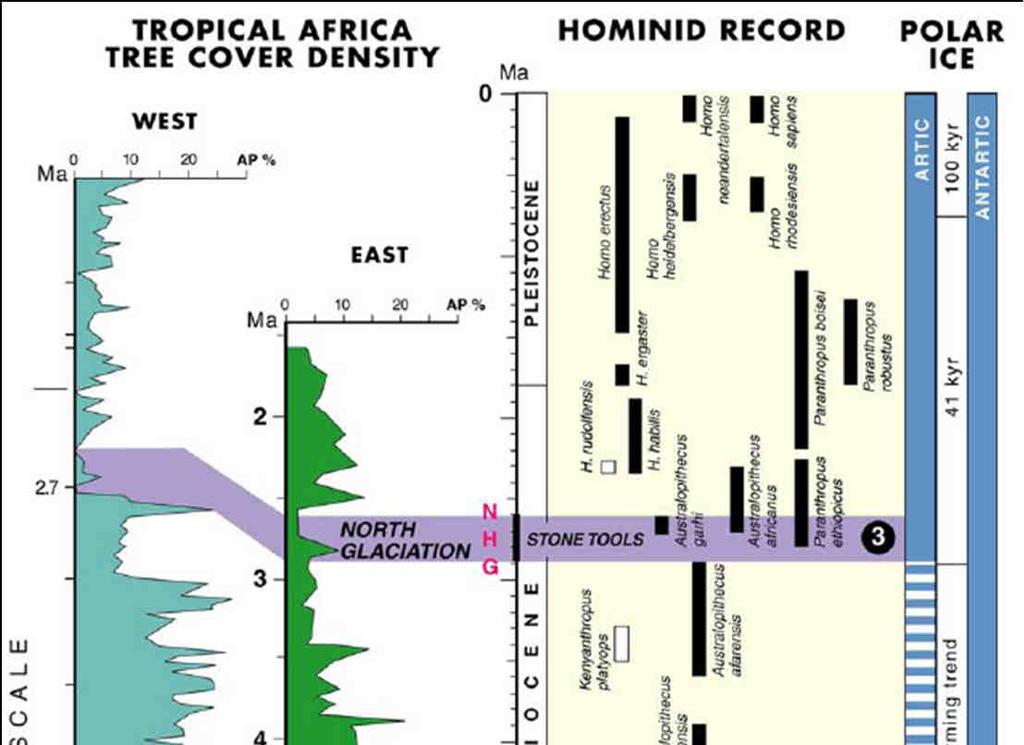 VEGETAZIONE Variabilità ambientale zonale e diacronica - % polline