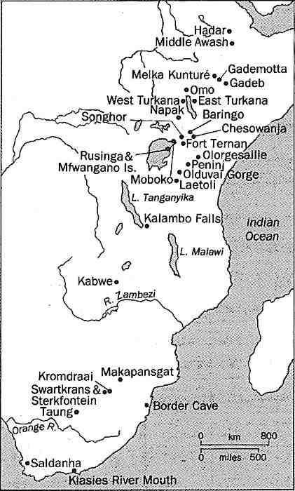 DISTRIBUZIONE DEI SITI Due aree principali - Africa orientale -- Etiopia --