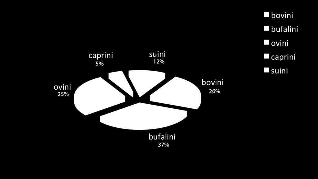 dei capi allevati, ad esclusione degli avicoli, è