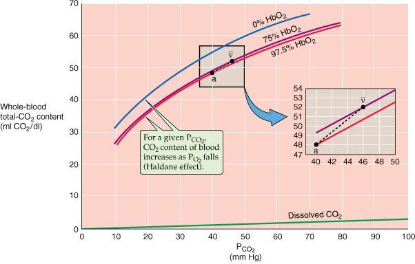 Curva di dissociazione della CO 2 PCO 2, ph e PO 2