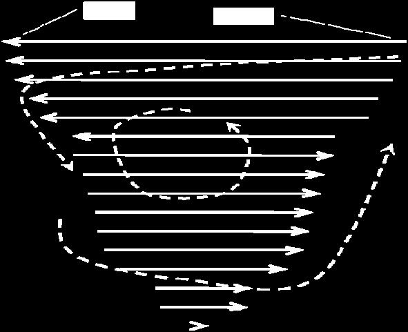longitudinale (le frecce indicano il verso della velocità longitudinale media