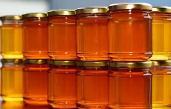 MIELE ATTRAENTE PER IL CONSUMATORE L impianto di fusione e di filtrazione del miele HONEMA ClearHoney è stato progettato per la produzione di prodotti naturali di alta qualità con buone