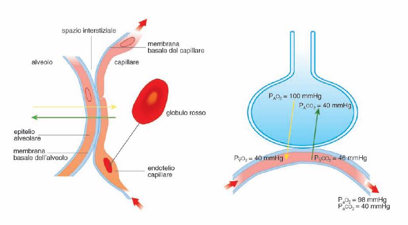 SCAMBIO DEI GAS