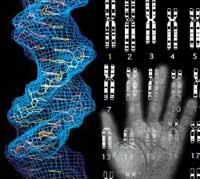 Il genoma è l'intero patrimonio genetico di un organismo vivente.