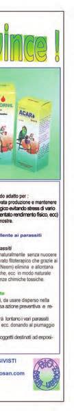 15 - In caso di irregolarità commesse all ingabbio dei soggetti, il Comitato Organizzatore