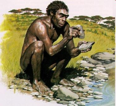 L' HOMO HABILIS Da una specie di Australopithecus discese molto probabilmente l homo habilis. L Homo habilis viveva in Africa.
