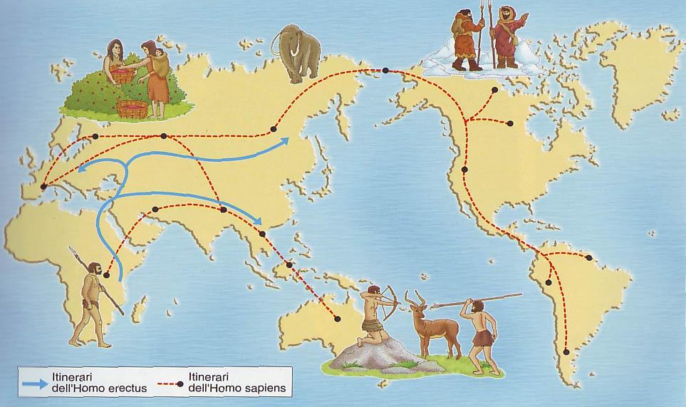 L' HOMO ERECTUS IL PRIMO VIAGGIATORE Osserva la mappa: Spostamenti dell'homo erectus L'Homo erectus ha lasciato l'africa ed è giunto fino in Asia ed in Europa.