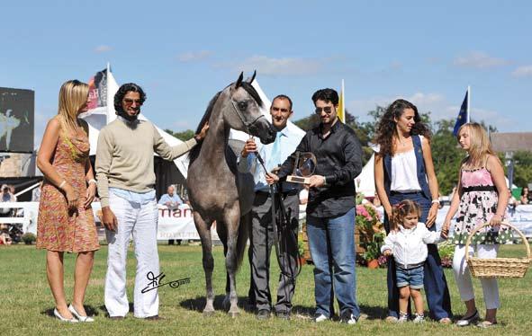 PARMANA Bronze Champion Fillies (Al Maraam x Palmira) Breeder: