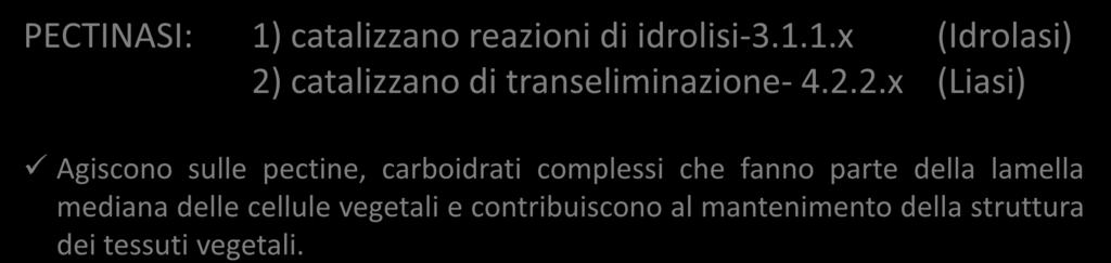 PECTINASI: 1) catalizzano reazioni di idrolisi-3.1.1.x (Idrolasi) 2)