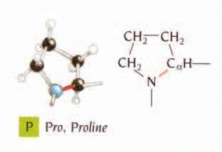 Diagramma di Ramachandran Gly e Pro Una situazione opposta a quella della glicina è rappresentata dall amminoacido prolina, la cui