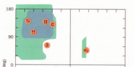 Struttura Secondaria Struttura secondaria Le regioni del diagramma di Ramachandran sono indicate con il nome della conformazione risultante in un peptide se i