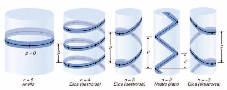 Struttura Secondaria Parametri geometrici delle Strutture Secondarie regolari eliche idealizzate Parametri per la descrizione di un elica: p h = n: numero di