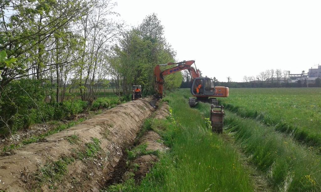 - ROGGIA MICHELA, arginatura della sponda destra mediante posa di pietrame in vari tratti su un'estesa di 450 metri in via