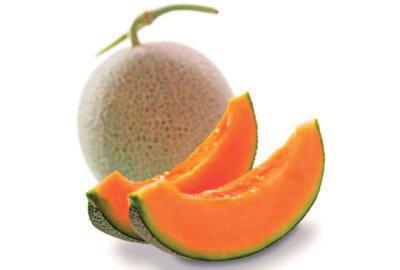 dosagusto Melone 9-D18 Il Dosagusto al gusto MELONE è uno sciroppo concentrato per insaporire basi già zuccherate quali granita neutra, sorbetto neutro, yogurt, gelati.