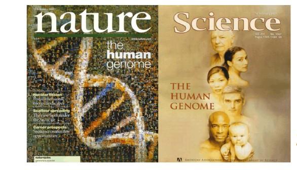 Le tappe principali del Progetto Genoma Umano 2000 (Giugno) Francis Collins (Direttore del National Human Genome Research Institute) e Craig Venter annunciano congiuntamente di aver completato la