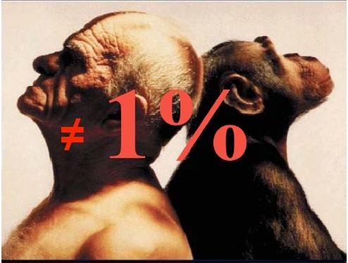 I genomi dell uomo e dello scimpanzé sono uguali all incirca al 99% 87% dei