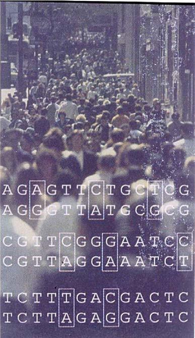 1000 Genomes Project I numeri 88 milioni SNPs 4 8 SNPs presenti in ogni gene 300-1000 bp