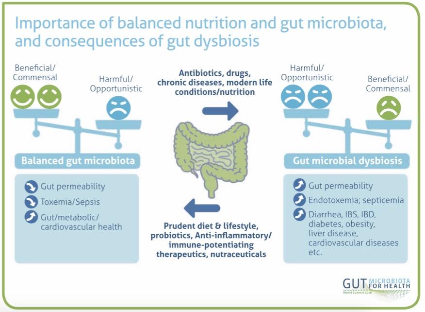 Importanza del microbioma intestinale L alterazione qualitativa e quantitativa della microflora intestinale (disbiosi) è legata allo sviluppo di diverse